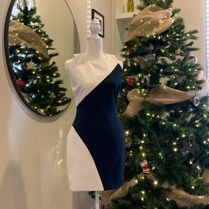 Elizabeth and James Mini Klein Dress Ivory Navy Sheath